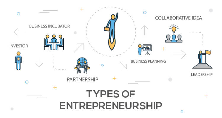 What is Entrepreneurship? Types of Entrepreneurship with examples